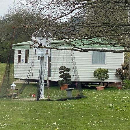 The Nest - Family Friendly Caravan Nr Glastonbury & Street Somerton  Kültér fotó