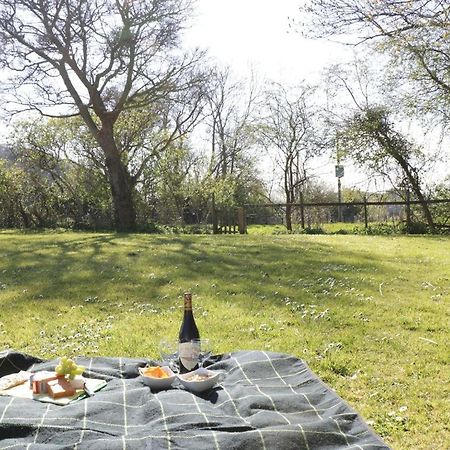 The Nest - Family Friendly Caravan Nr Glastonbury & Street Somerton  Kültér fotó