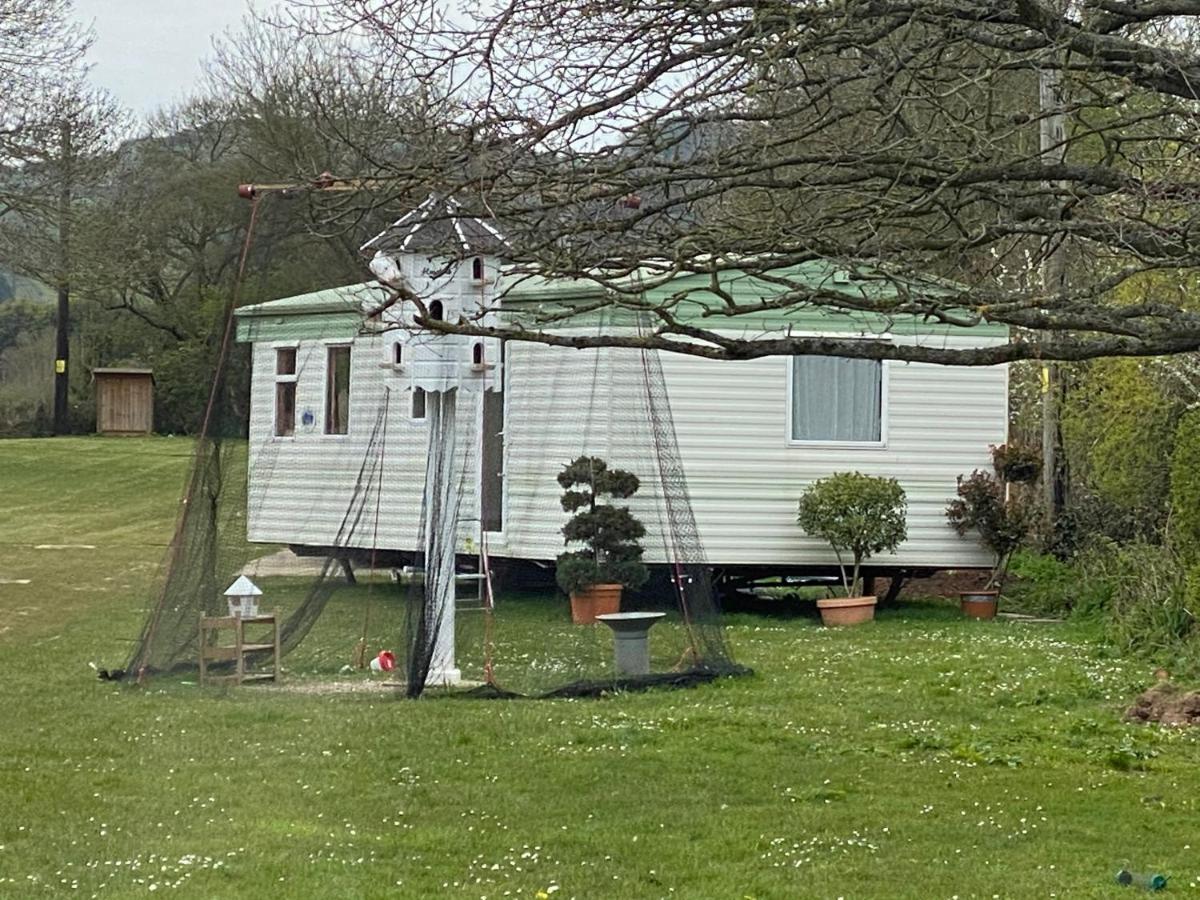 The Nest - Family Friendly Caravan Nr Glastonbury & Street Somerton  Kültér fotó